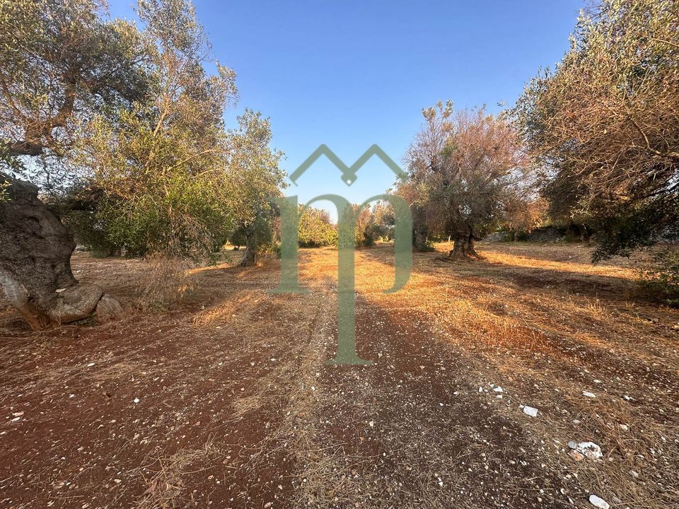 Helårsgrund i Carovigno, Brindisi - foto 1